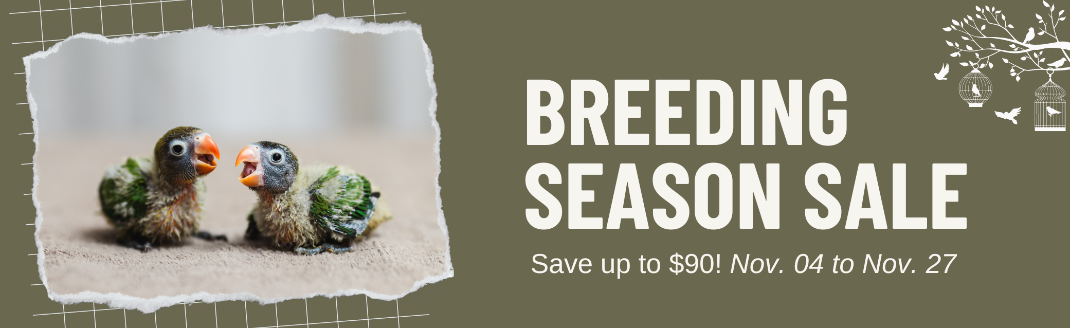 Breeding-season-sale